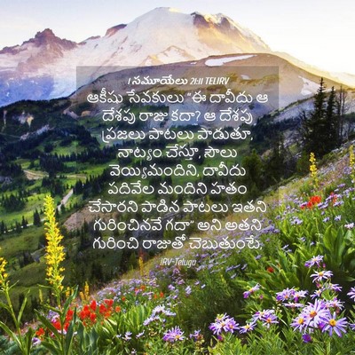 Picture 04 - 1 సమూయేలు 21:11 TELIRV - ఆకీషు సేవకులు “ఈ - Bible Verse Picture