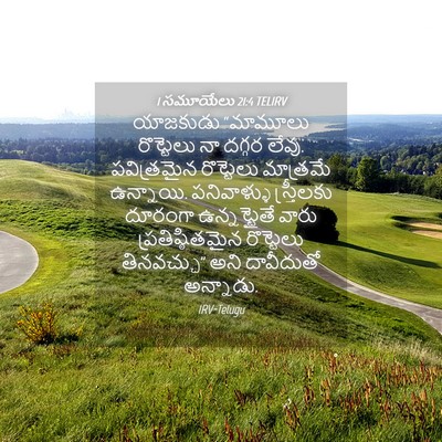 Picture 04 - 1 సమూయేలు 21:4 TELIRV - యాజకుడు “మామూలు - Bible Verse Picture