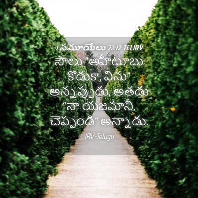 Picture 04 - 1 సమూయేలు 22:12 TELIRV - సౌలు “అహీటూబు - Bible Verse Picture