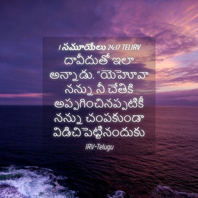 Picture 04 - 1 సమూయేలు 24:17 TELIRV - దావీదుతో ఇలా - Bible Verse Picture