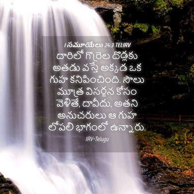 Picture 04 - 1 సమూయేలు 24:3 TELIRV - దారిలో గొర్రెల - Bible Verse Picture