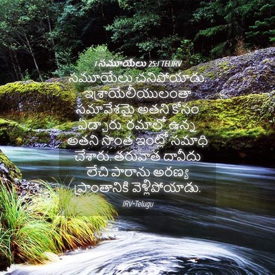 Picture 04 - 1 సమూయేలు 25:1 TELIRV - సమూయేలు - Bible Verse Picture