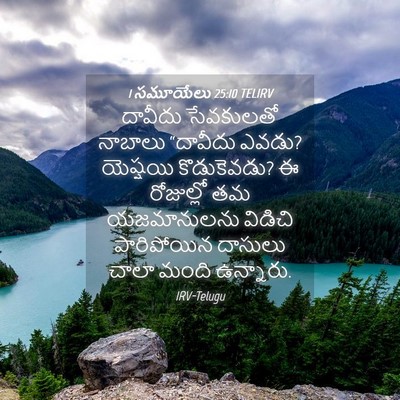 Picture 04 - 1 సమూయేలు 25:10 TELIRV - దావీదు సేవకులతో - Bible Verse Picture