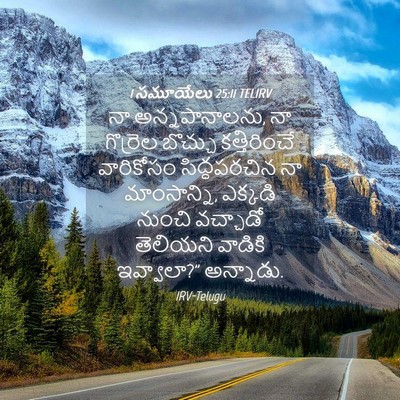 Picture 04 - 1 సమూయేలు 25:11 TELIRV - నా అన్నపానాలను, నా - Bible Verse Picture
