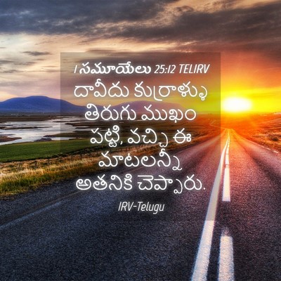 Picture 04 - 1 సమూయేలు 25:12 TELIRV - దావీదు కుర్రాళ్ళు - Bible Verse Picture