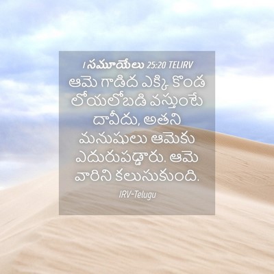 Picture 04 - 1 సమూయేలు 25:20 TELIRV - ఆమె గాడిద ఎక్కి - Bible Verse Picture