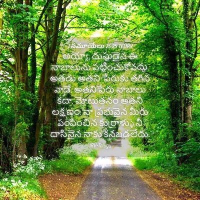 Picture 04 - 1 సమూయేలు 25:25 TELIRV - అయ్యా, దుష్టుడైన ఈ - Bible Verse Picture
