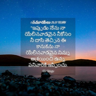 Picture 04 - 1 సమూయేలు 25:27 TELIRV - “ఇప్పుడు నేను నా - Bible Verse Picture