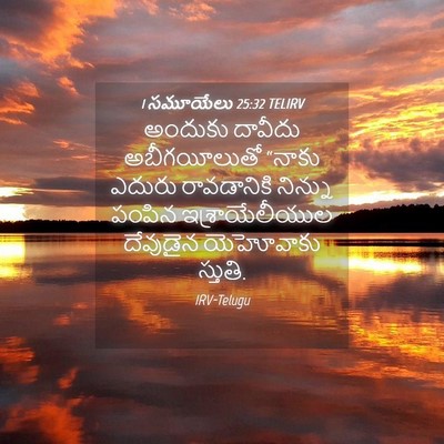 Picture 04 - 1 సమూయేలు 25:32 TELIRV - అందుకు దావీదు - Bible Verse Picture