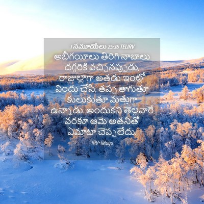 Picture 04 - 1 సమూయేలు 25:36 TELIRV - అబీగయీలు తిరిగి - Bible Verse Picture