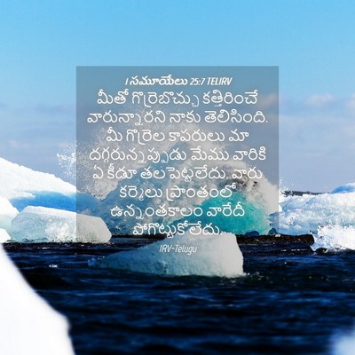 Picture 04 - 1 సమూయేలు 25:7 TELIRV - మీతో గొర్రెబొచ్చు - Bible Verse Picture