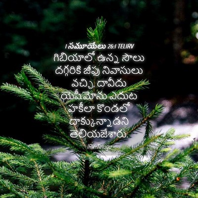 Picture 04 - 1 సమూయేలు 26:1 TELIRV - గిబియాలో ఉన్న - Bible Verse Picture