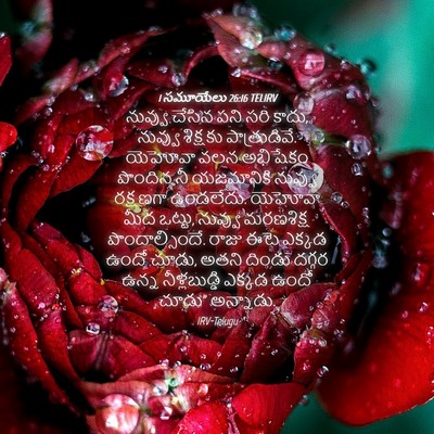 Picture 04 - 1 సమూయేలు 26:16 TELIRV - నువ్వు చేసిన పని - Bible Verse Picture