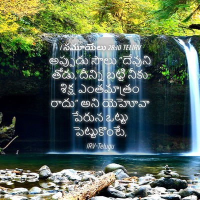 Picture 04 - 1 సమూయేలు 28:10 TELIRV - అప్పుడు సౌలు - Bible Verse Picture