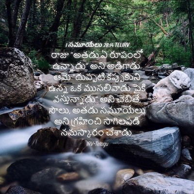 Picture 04 - 1 సమూయేలు 28:14 TELIRV - రాజు “అతడు ఏ - Bible Verse Picture