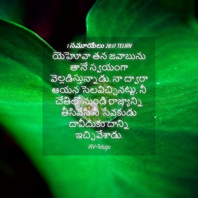 Picture 04 - 1 సమూయేలు 28:17 TELIRV - యెహోవా తన జవాబును - Bible Verse Picture