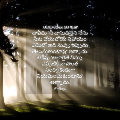 Picture 04 - 1 సమూయేలు 28:2 TELIRV - దావీదు “నీ - Bible Verse Picture