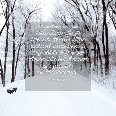 Picture 04 - 1 సమూయేలు 28:20 TELIRV - సమూయేలు చెప్పిన - Bible Verse Picture
