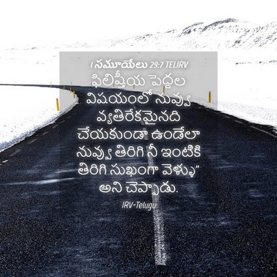 Picture 04 - 1 సమూయేలు 29:7 TELIRV - ఫిలిష్తీయ పెద్దల - Bible Verse Picture