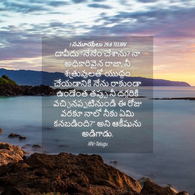 Picture 04 - 1 సమూయేలు 29:8 TELIRV - దావీదు “నేనేం - Bible Verse Picture