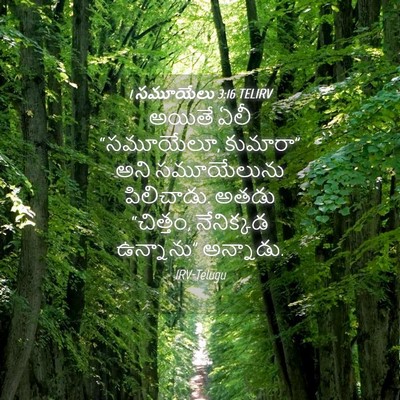 Picture 04 - 1 సమూయేలు 3:16 TELIRV - అయితే ఏలీ - Bible Verse Picture
