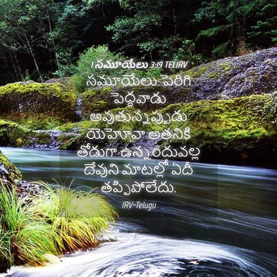Picture 04 - 1 సమూయేలు 3:19 TELIRV - సమూయేలు పెరిగి - Bible Verse Picture