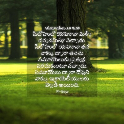 Picture 04 - 1 సమూయేలు 3:21 TELIRV - షిలోహులో యెహోవా - Bible Verse Picture