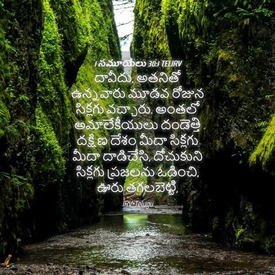 Picture 04 - 1 సమూయేలు 30:1 TELIRV - దావీదు, అతనితో - Bible Verse Picture