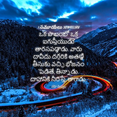 Picture 04 - 1 సమూయేలు 30:11 TELIRV - ఒక పొలంలో ఒక - Bible Verse Picture