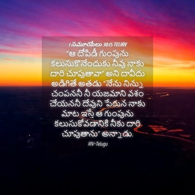 Picture 04 - 1 సమూయేలు 30:15 TELIRV - “ఆ దోపిడీ గుంపును - Bible Verse Picture