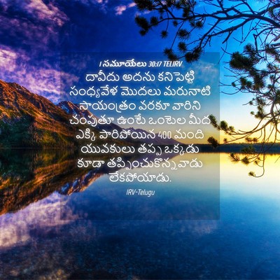 Picture 04 - 1 సమూయేలు 30:17 TELIRV - దావీదు అదను - Bible Verse Picture