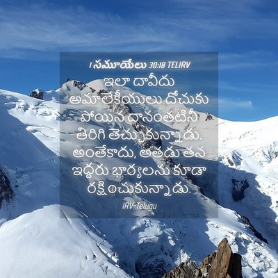 Picture 04 - 1 సమూయేలు 30:18 TELIRV - ఇలా దావీదు - Bible Verse Picture
