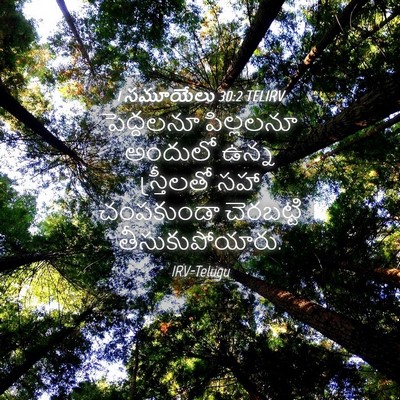 Picture 04 - 1 సమూయేలు 30:2 TELIRV - పెద్దలనూ పిల్లలనూ - Bible Verse Picture