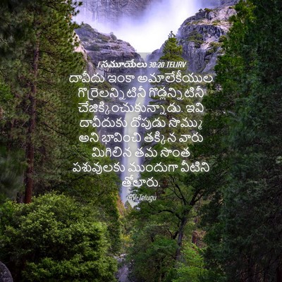 Picture 04 - 1 సమూయేలు 30:20 TELIRV - దావీదు ఇంకా - Bible Verse Picture