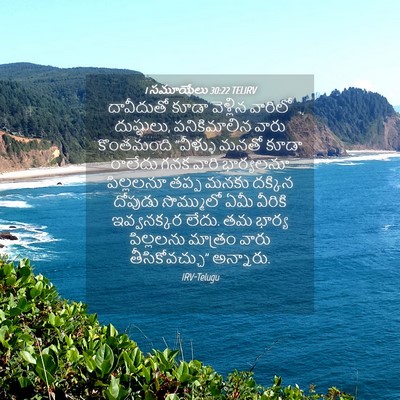 Picture 04 - 1 సమూయేలు 30:22 TELIRV - దావీదుతో కూడా - Bible Verse Picture