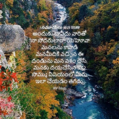 Picture 04 - 1 సమూయేలు 30:23 TELIRV - అందుకు దావీదు - Bible Verse Picture