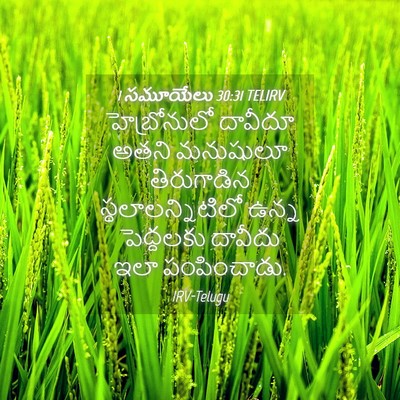 Picture 04 - 1 సమూయేలు 30:31 TELIRV - హెబ్రోనులో దావీదూ - Bible Verse Picture