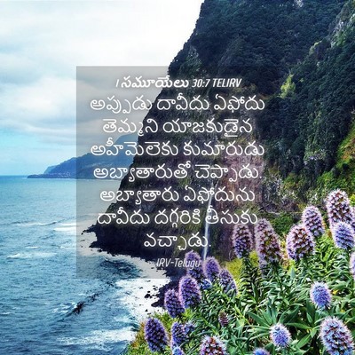 Picture 04 - 1 సమూయేలు 30:7 TELIRV - అప్పుడు దావీదు - Bible Verse Picture