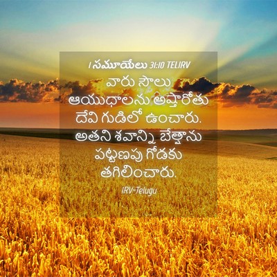 Picture 04 - 1 సమూయేలు 31:10 TELIRV - వారు సౌలు - Bible Verse Picture