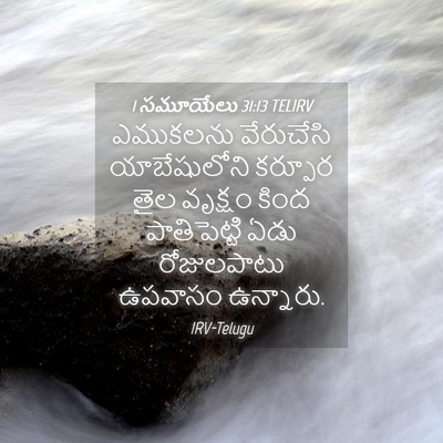 Picture 04 - 1 సమూయేలు 31:13 TELIRV - ఎముకలను వేరుచేసి - Bible Verse Picture