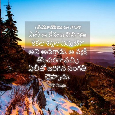 Picture 04 - 1 సమూయేలు 4:14 TELIRV - ఏలీ ఆ కేకలు విని “ఈ - Bible Verse Picture