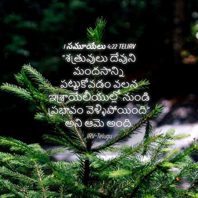 Picture 04 - 1 సమూయేలు 4:22 TELIRV - “శత్రువులు దేవుని - Bible Verse Picture