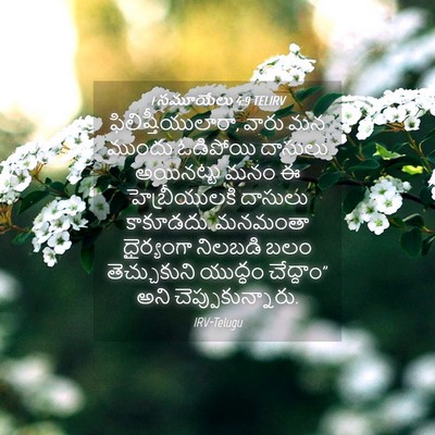 Picture 04 - 1 సమూయేలు 4:9 TELIRV - ఫిలిష్తీయులారా, - Bible Verse Picture