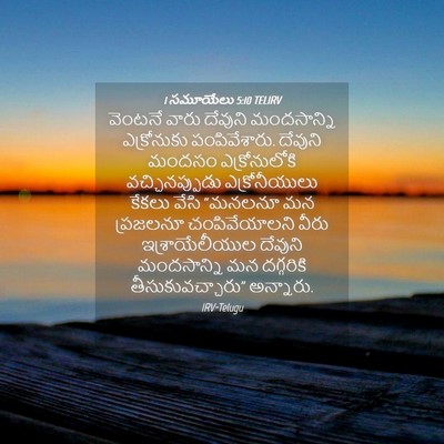Picture 04 - 1 సమూయేలు 5:10 TELIRV - వెంటనే వారు - Bible Verse Picture