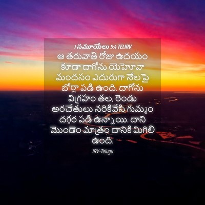 Picture 04 - 1 సమూయేలు 5:4 TELIRV - ఆ తరువాతి రోజు - Bible Verse Picture
