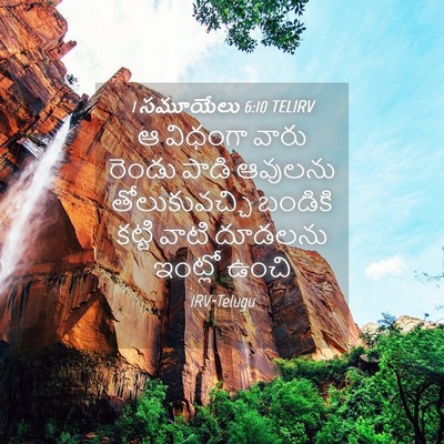 Picture 04 - 1 సమూయేలు 6:10 TELIRV - ఆ విధంగా వారు - Bible Verse Picture