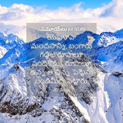 Picture 04 - 1 సమూయేలు 6:11 TELIRV - యెహోవా మందసాన్ని, - Bible Verse Picture