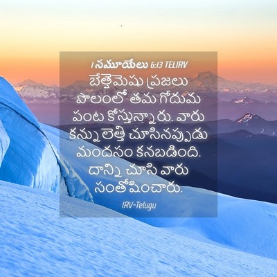Picture 04 - 1 సమూయేలు 6:13 TELIRV - బేత్షెమెషు ప్రజలు - Bible Verse Picture