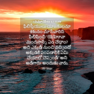 Picture 04 - 1 సమూయేలు 6:2 TELIRV - ఫిలిష్తీయులు - Bible Verse Picture