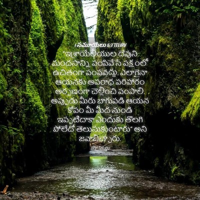 Picture 04 - 1 సమూయేలు 6:3 TELIRV - “ఇశ్రాయేలీయుల - Bible Verse Picture